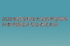 2020年武汉科技大学城市学院专升本环境设计专业考试大纲