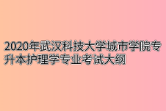 2020年武汉科技大学城市学院专升本护理学专业考试大纲