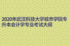 2020年武汉科技大学城市学院专升本会计学专业考试大纲