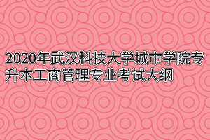 2020年武汉科技大学城市学院专升本工商管理专业考试大纲