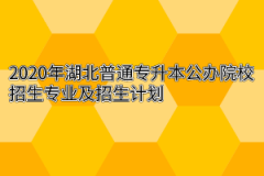 2020年湖北普通专升本公办院校招生专业及招生计划