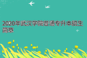 2020年武汉学院普通专升本招生简章