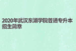 2020年武汉东湖学院普通专升本招生简章