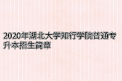 2020年湖北大学知行学院普通专升本招生简章