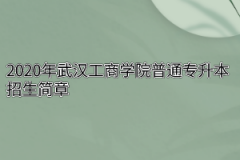 2020年武汉工商学院普通专升本招生简章