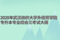 2020年武汉纺织大学外经贸学院专升本专业综合三考试大纲