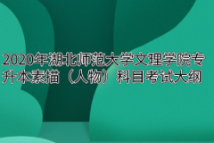 2020年湖北师范大学文理学院专升本素描（人物）科目考试大纲