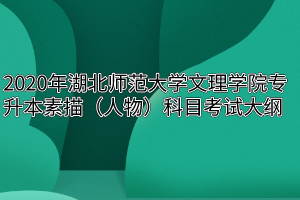 2020年湖北师范大学文理学院专升本素描(人物)科目考试大纲