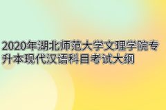 2020年湖北师范大学文理学院专升本现代汉语科目考试大纲
