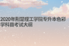 2020年荆楚理工学院专升本色彩学科目考试大纲