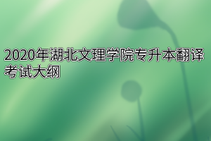 2020年湖北文理学院专升本翻译考试大纲