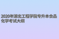 2020年湖北工程学院专升本食品化学考试大纲