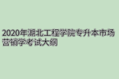 2020年湖北工程学院专升本市场营销学考试大纲