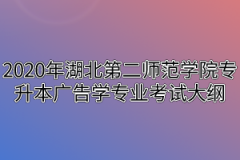 2020年湖北第二师范学院专升本广告学专业考试大纲