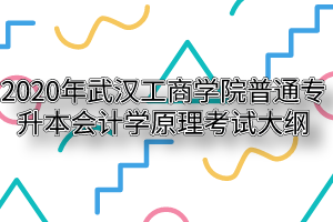 2020年武汉工商学院普通专升本会计学原理考试大纲