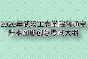 2020年武汉工商学院普通专升本图形创意考试大纲