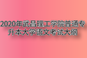 2020年武昌理工学院普通专升本大学语文考试大纲