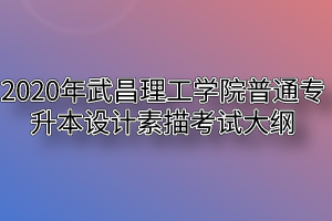 2020年武昌理工学院普通专升本设计素描考试大纲