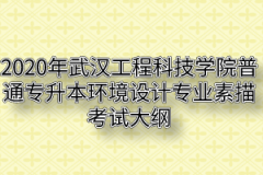 2020年武汉工程科技学院普通专升本环境设计专业素描考试大纲