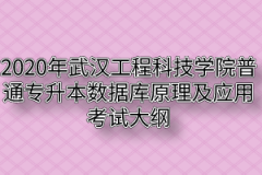 2020年武汉工程科技学院普通专升本数据库原理及应用考试大纲