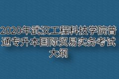 2020年武汉工程科技学院普通专升本国际贸易实务考试大纲