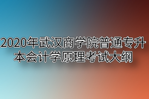 2020年武汉商学院普通专升本会计学原理考试大纲
