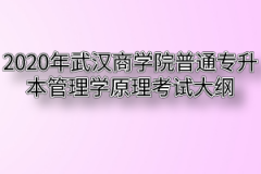 2020年武汉商学院普通专升本管理学原理考试大纲