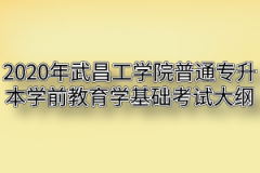 2020年武昌工学院普通专升本学前教育学基础考试大纲