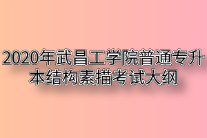 2020年武昌工学院普通专升本结构素描考试大纲