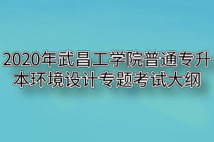 2020年武昌工学院普通专升本环境设计专题考试大纲