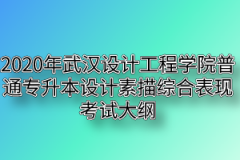 2020年武汉设计工程学院普通专升本设计素描综合表现考试大纲