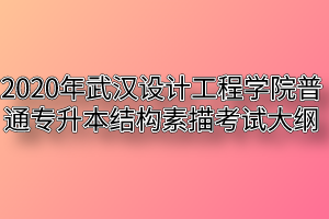 2020年武汉设计工程学院普通专升本结构素描考试大纲