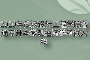 2020年武汉设计工程学院普通专升本微观经济学考试大纲