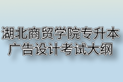 2020年湖北商贸学院普通专升本广告设计科目考试大纲