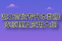 2020年湖北商贸学院普通专升本数据库原理及应用考试大纲