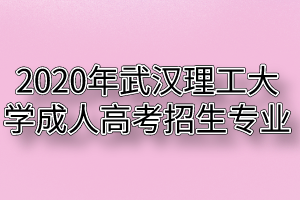 2020年武汉理工大学成人高考招生专业有哪些