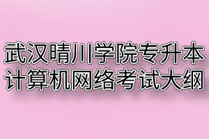 2020年武汉晴川学院普通专升本计算机网络考试大纲