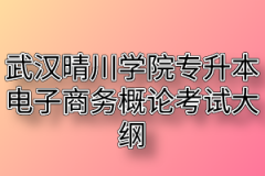 2020年武汉晴川学院普通专升本电子商务概论考试大纲