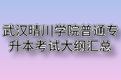 2020年武汉晴川学院普通专升本考试大纲汇总