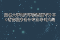 2020年湖北大学知行学院普通专升本C语言程序设计专业考试大纲