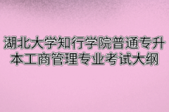 2020年湖北大学知行学院普通专升本工商管理专业考试大纲
