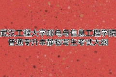 2020年武汉工程大学邮电与信息工程学院普通专升本静物写生考试大纲