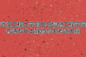 2020年武汉工程大学邮电与信息工程学院普通专升本静物写生考试大纲