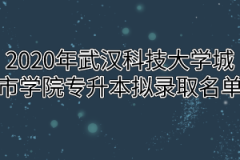 2020年武汉科技大学城市学院专升本拟录取名单