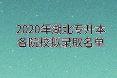 2020年湖北专升本各院校拟录取名单汇总