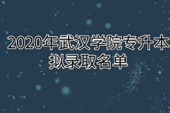 2020年武汉学院专升本拟录取名单