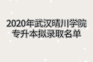 2020年武汉晴川学院专升本拟录取名单