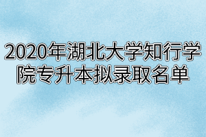 2020年湖北大学知行学院专升本拟录取名单