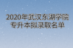 2020年武汉东湖学院专升本拟录取名单