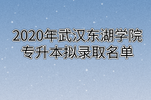 2020年武汉东湖学院专升本拟录取名单